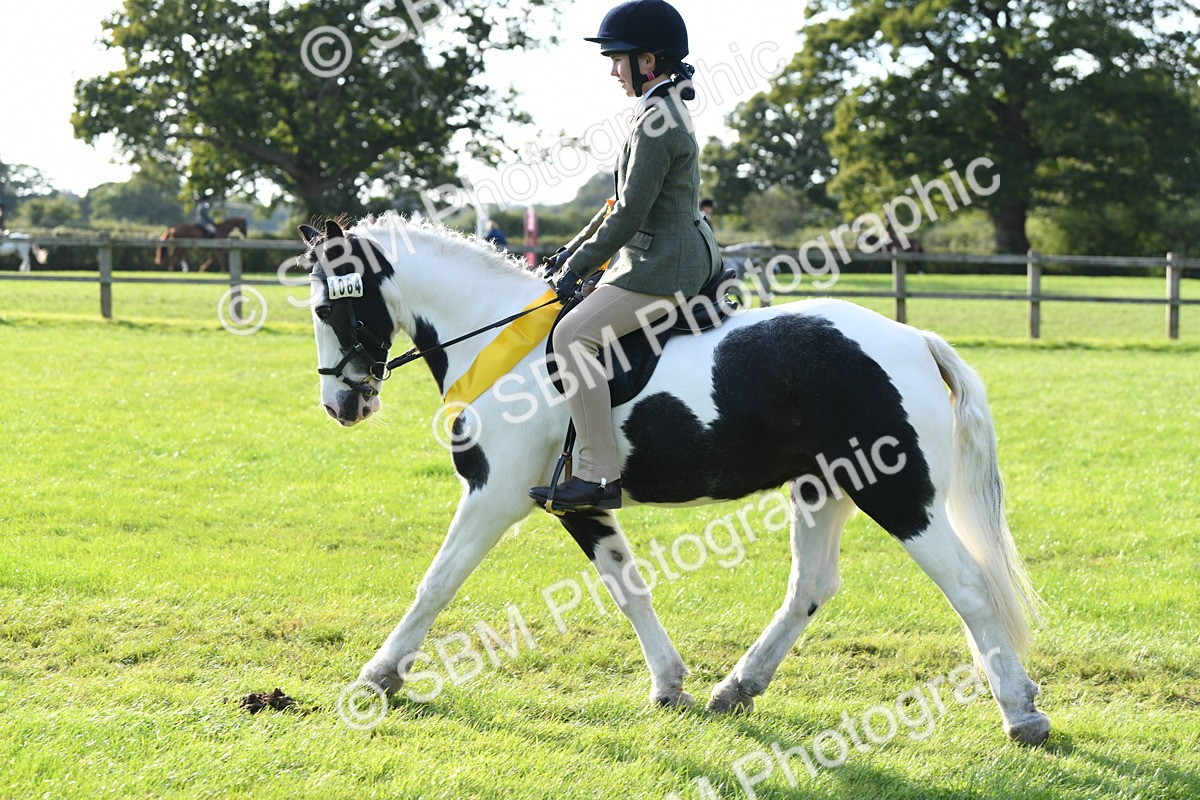 SBM_52079 - S21 - Novice & Newcomers 1st Ridden Pony