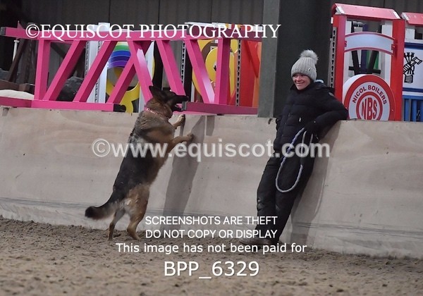 BPP_6329 - CARLA DOGS