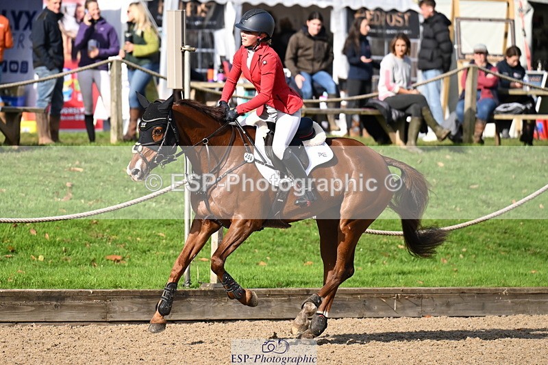 251024A-121606-10285 - C-206-Madison.Tapner