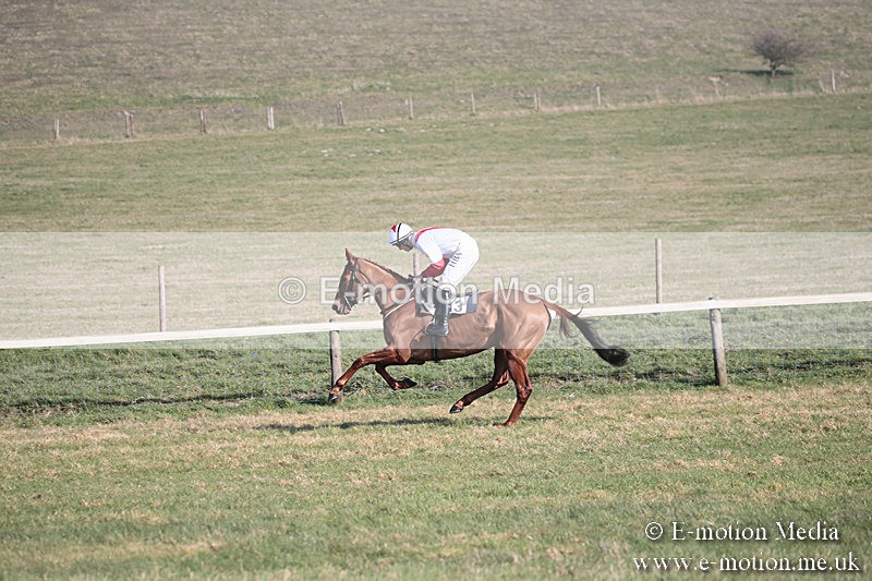 PtP 230219 180 - Vine & Craven Point-To-Point - Barbury 23/02/19