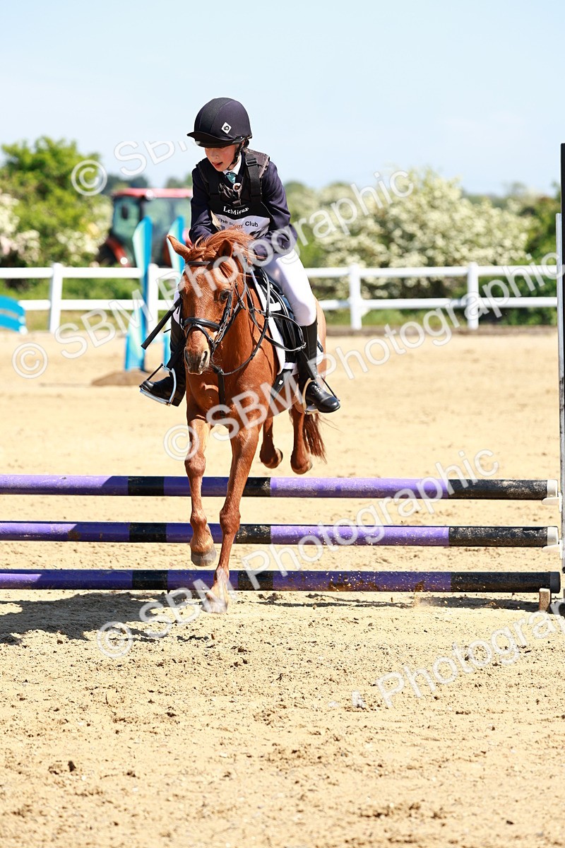 SBM_007507 - Class 3 - 60cm