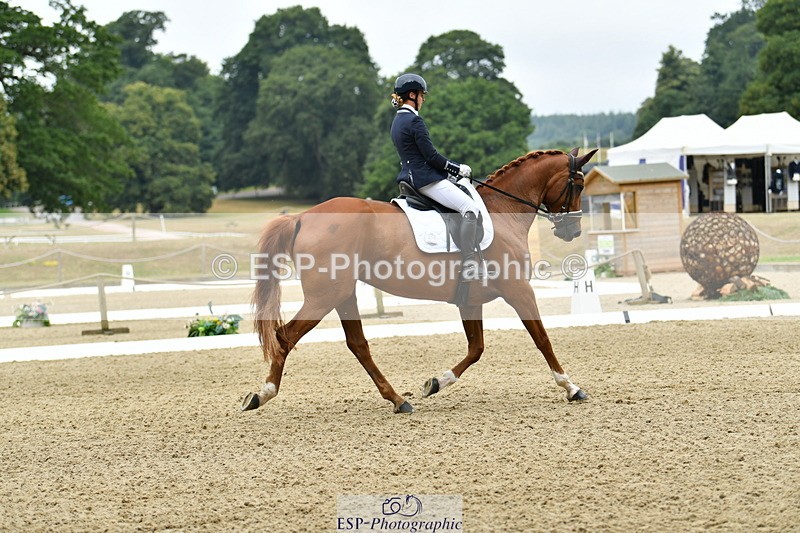 250718A-110532-00391 - 112-Amelia.Antippas-Romanno.Lady.Gaga