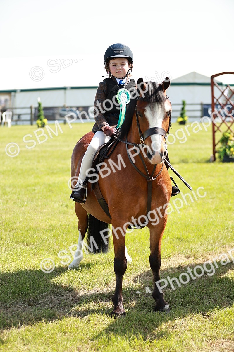 SBM_12812 - Class 106-107 - BSPS LIHS Working Sports Pony