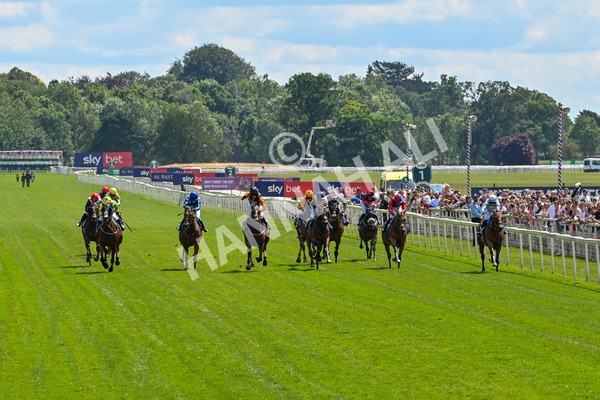 140625-Race 2-My Dream World-9296 - Race 2 2.25pm Queen Mother's Cup Handicap
