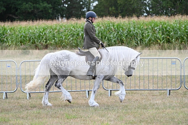 WJ7_5265 - Class 12 Ridden Cob