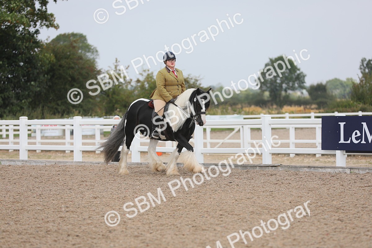 SBM_12681 - Class 307 Ridden Coloured Pony