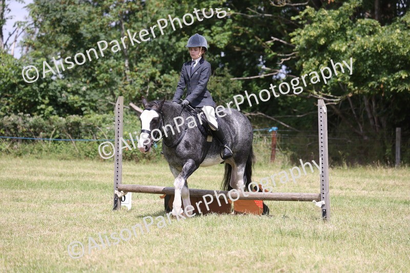 20260614-1972 - Class 21 - Novice Working Hunter Pony