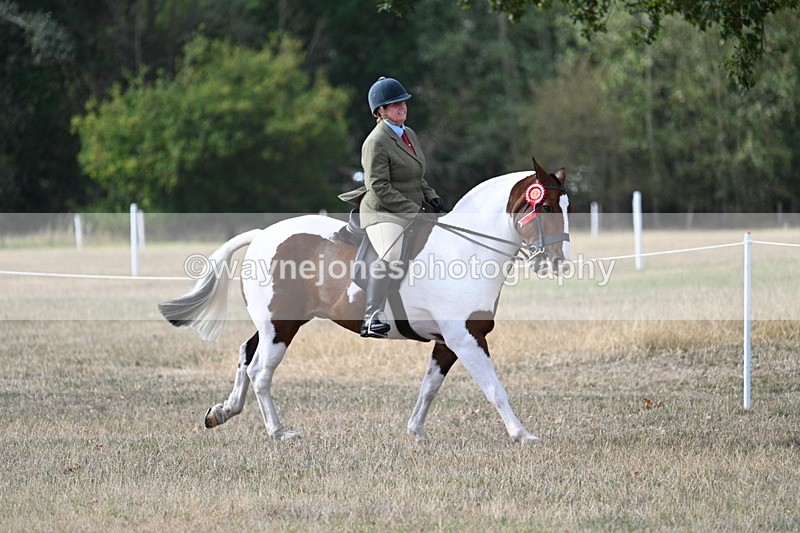 WJ7_7727 - Ridden Championship