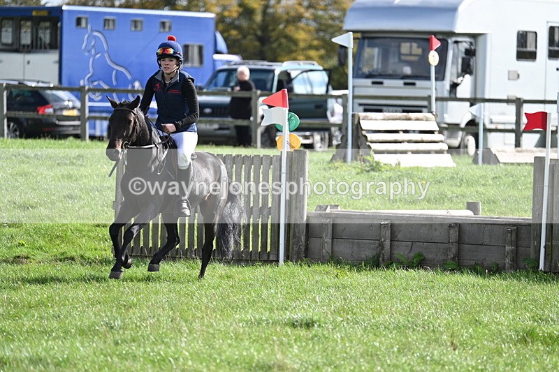 WJ7_8590 - 60cm Pairs