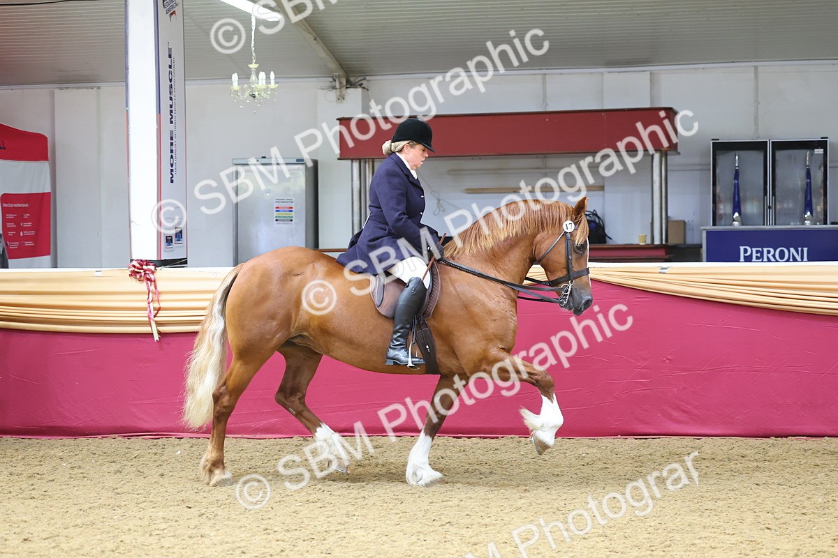 SBM_24526 - Class 906 - Supreme Final - Ridden Pre Vet