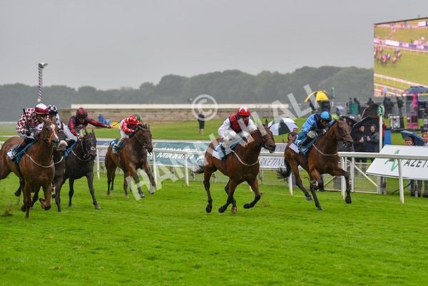140723-Race 6-Copper Knight-8354 - Race 6 4.55pm Irish Thoroughbred Marketing Handicap