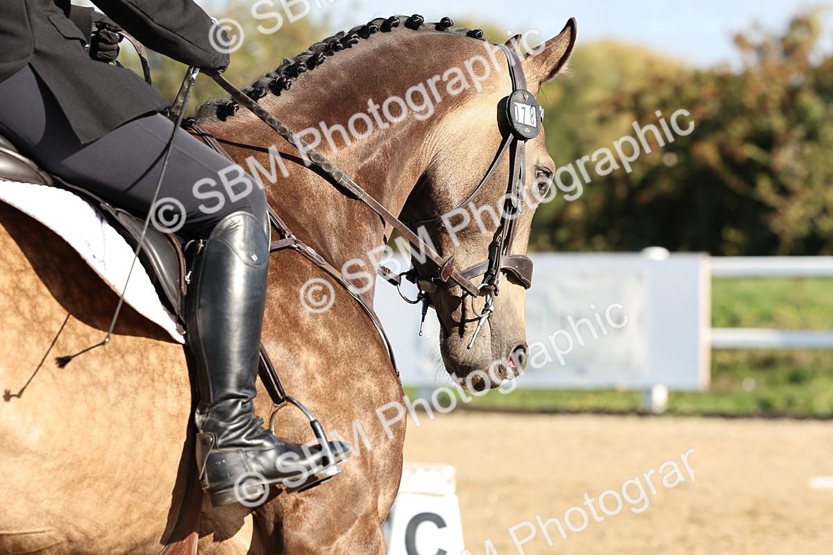 SBM_003185 - Class 66 - Intro 3