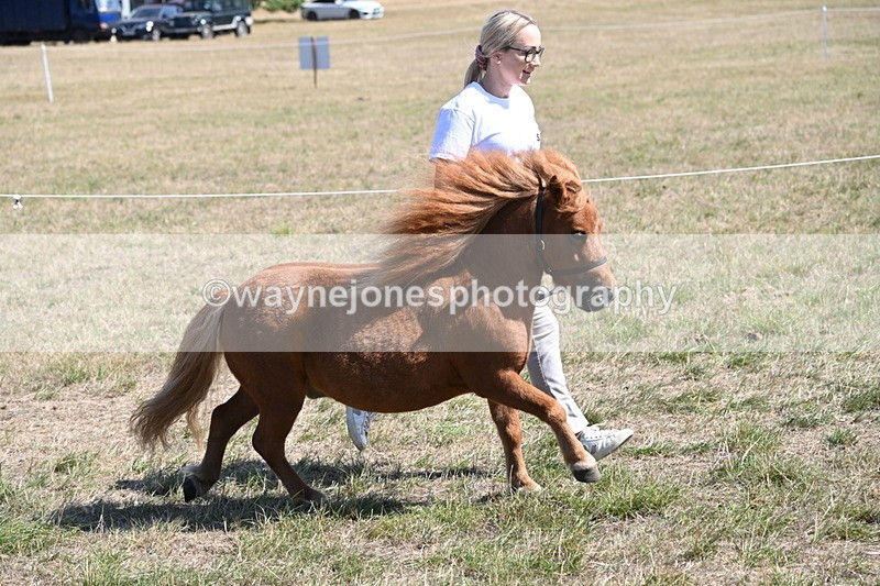 WJ6_9227 - Championship Classes 33-38