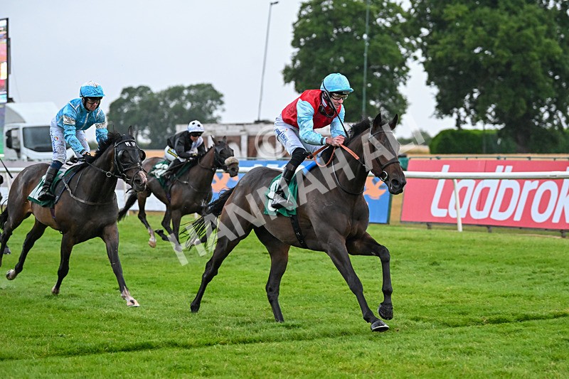 150725-Race 4-Harry Palmer-6983 - Race 4