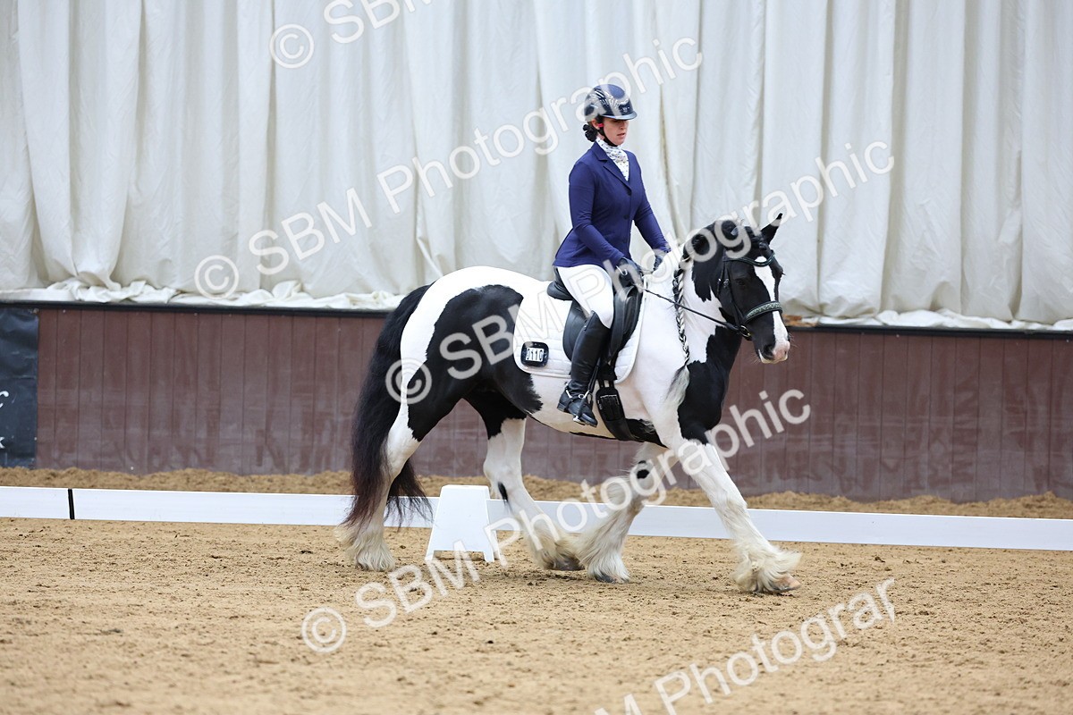 SBM_002268 - Novice 2
