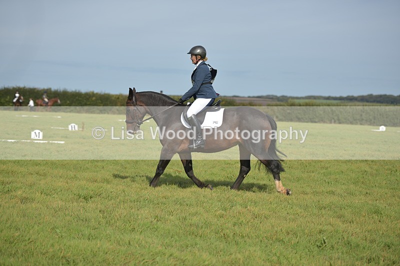 RAY_7784 - Class 2B: Trekenning Open: Dressage