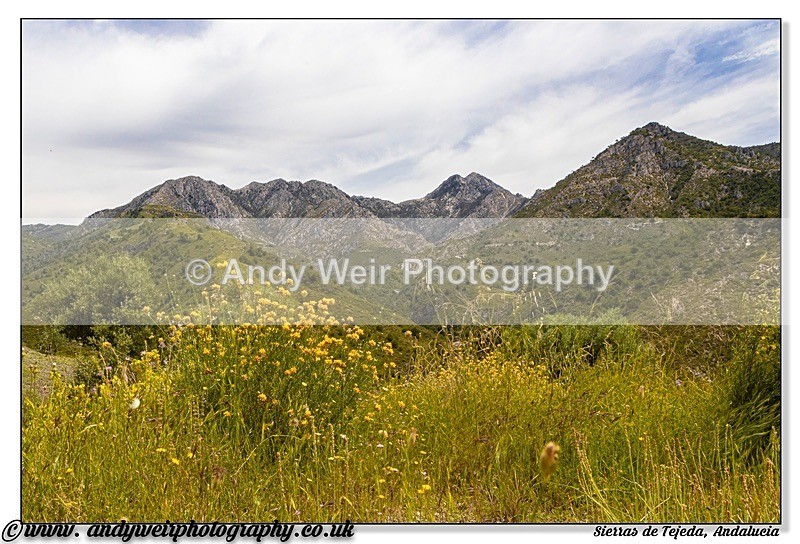 190527-untitled-Untitled-1-2-Edit - Abroad