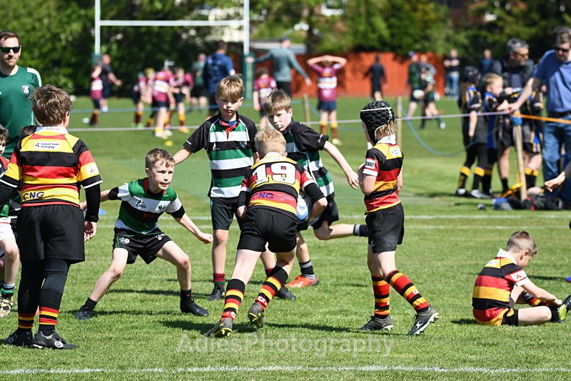  - Selby Rugby Festival 2025