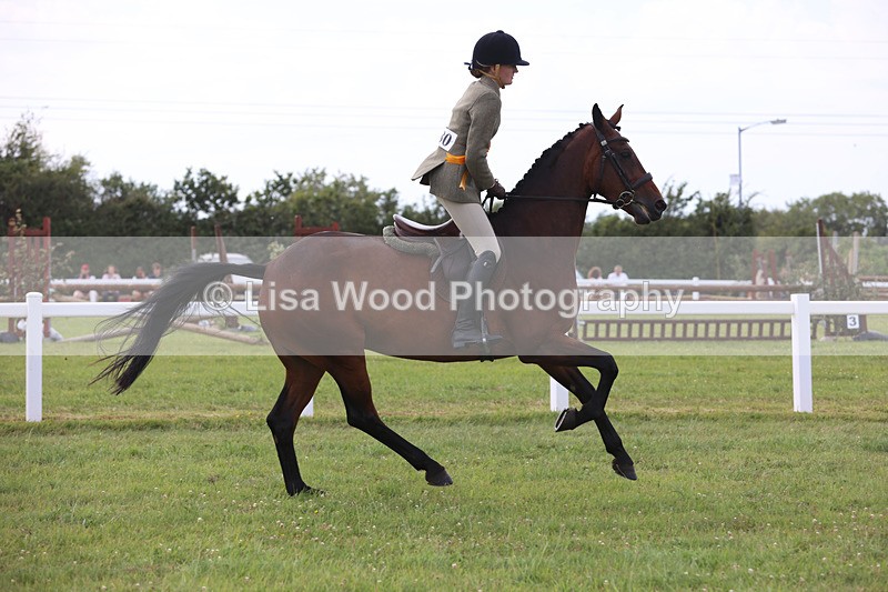 JPP_4148 - Class 24: Working Hunter 90cm