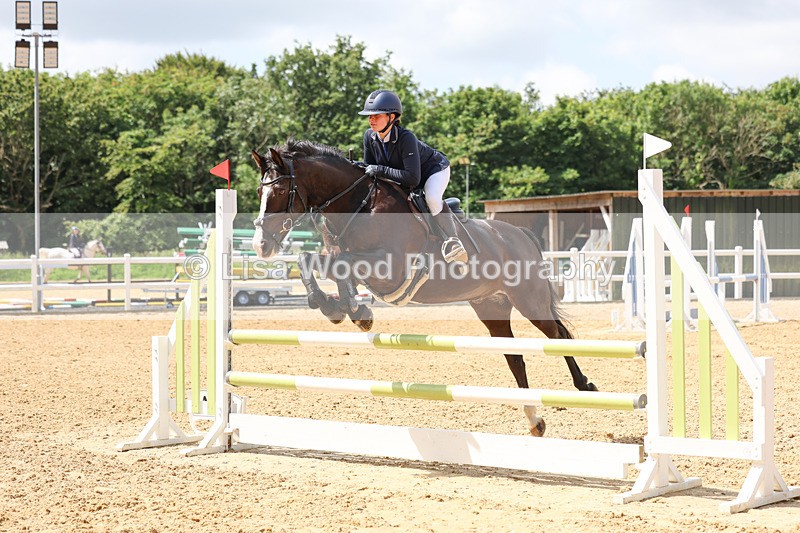 3E7A3133 - Class 4: Senior British Novice/90cm open