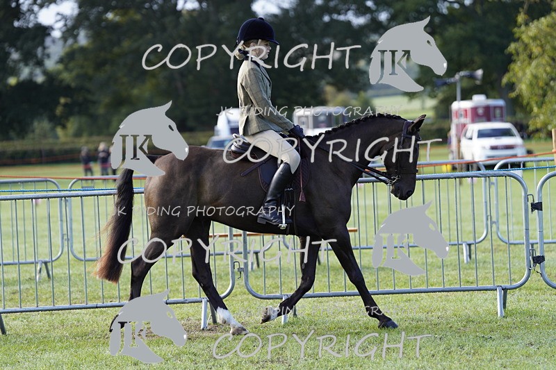 _DSC9312 - Class 8 & 17 Ridden Hunter & Ridden Hunter Pony