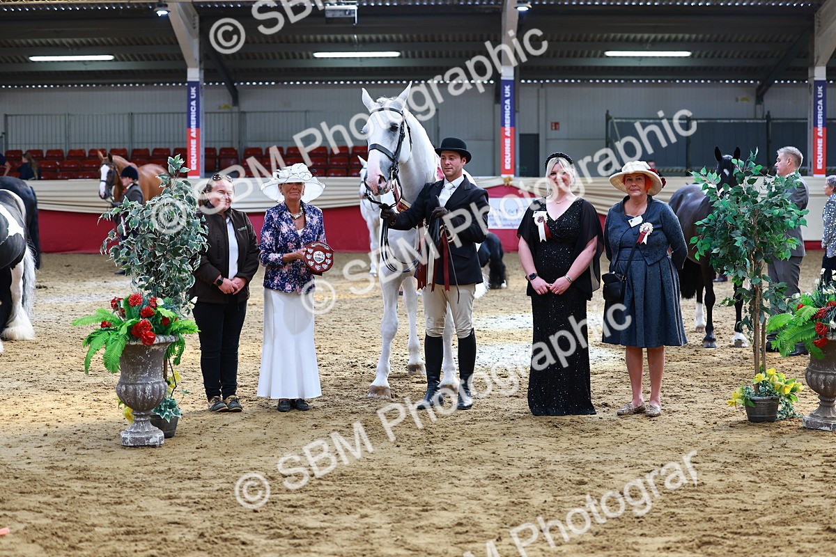 SBM_23283 - Class 903 - Supreme Final - IH Pre Vet