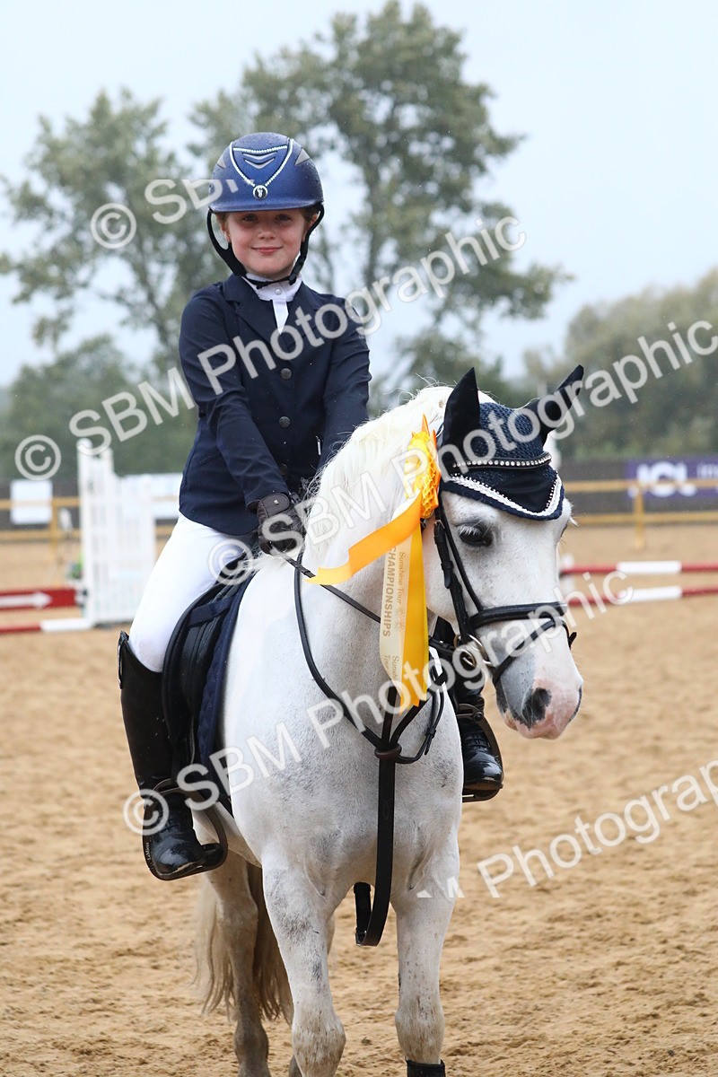 SBM_71860 - J4 - Mini Tour Junior Pony 45cm Championship