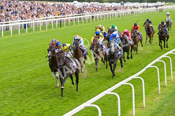 240824-Race 2-Tabletalk-1307 - Race 2 2.25pm Sky Bet Melrose Handicap