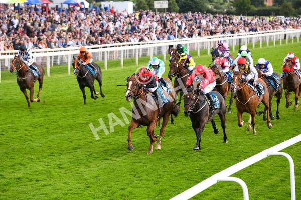 150723-Race 7-Roundhay Park-0748 - Race 7 5.30 pm John Smith's Sprint Handicap