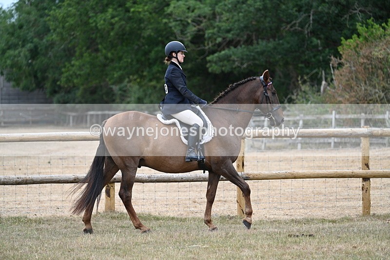 WJ7_0743 - Class 7 Riding Club Show Horse