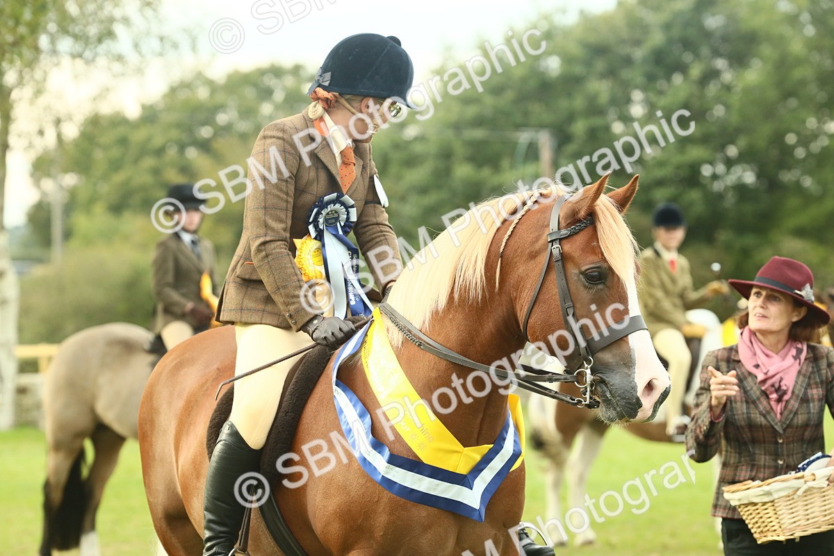 SBM_75112 - Ridden Pony Supreme Championship