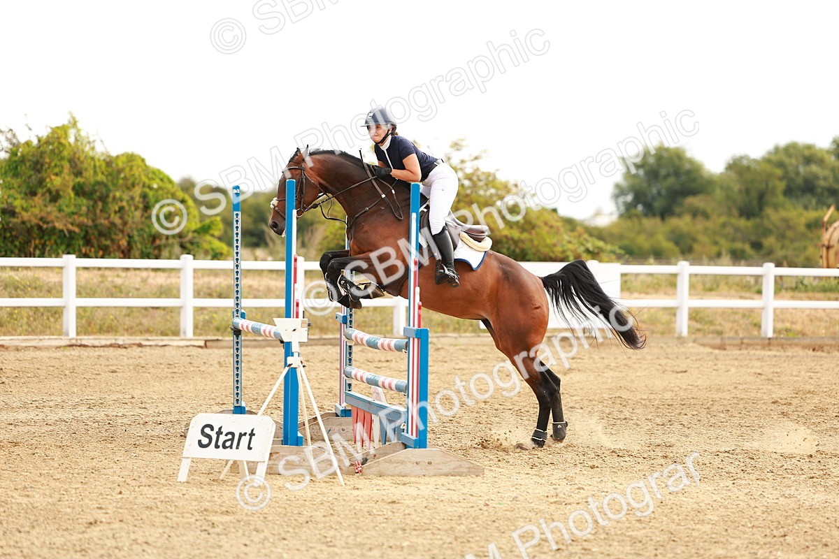 SBM_002191 - Class 9 - Senior British Novice - 90cm
