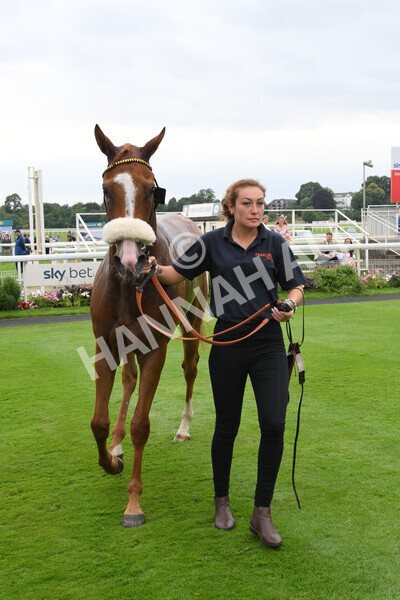 yr24072021r7-76 - Race 7 5.35pm The Sporting Life Fast Results Stakes