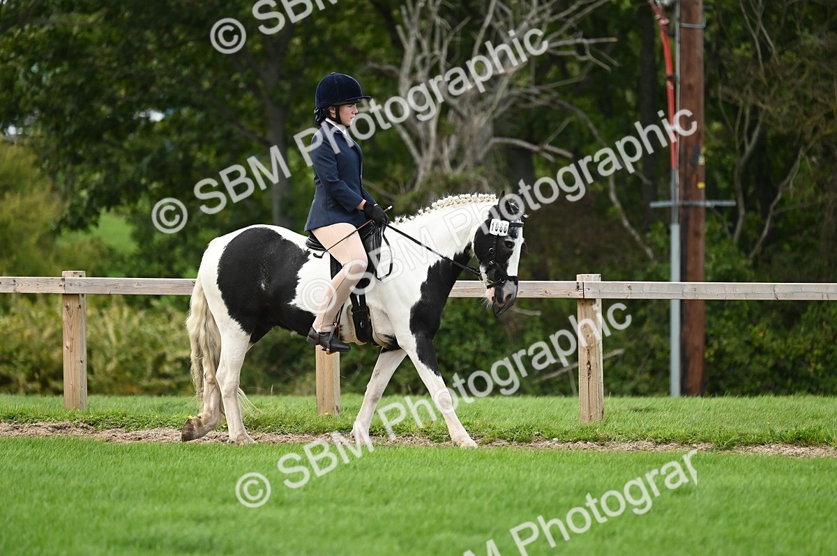 SBM_26539 - S7 - Novice & Newcomer Ridden Pony
