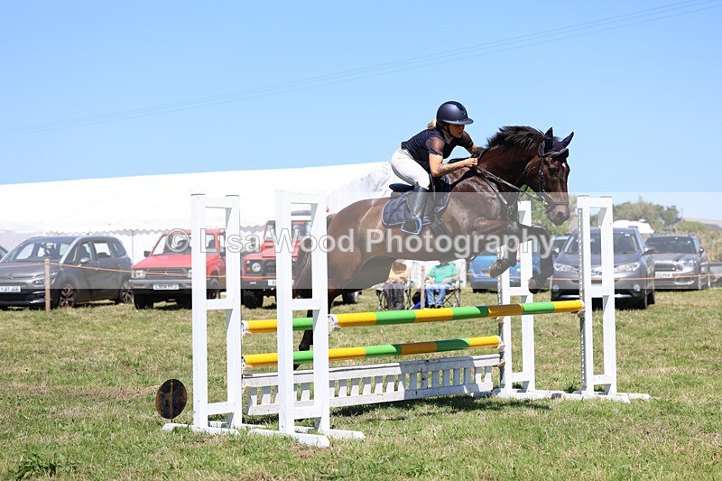 3E7A5675 - Class 9: Senior British Novice/90cm open