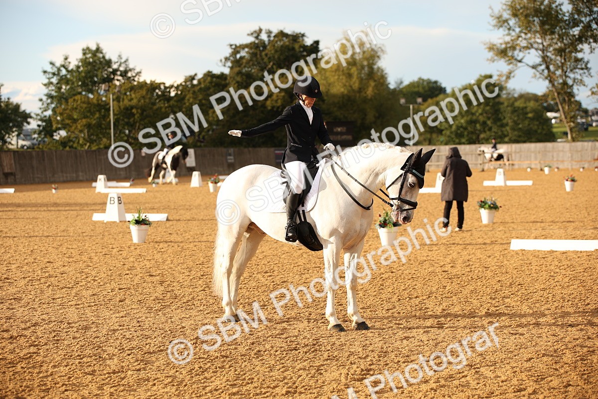 SBM_12434 - D3 Small  Tour Championship Intro A