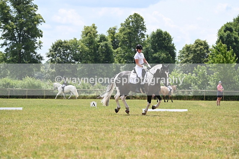 WJ6_6888 - Time 11:48 to 12:22