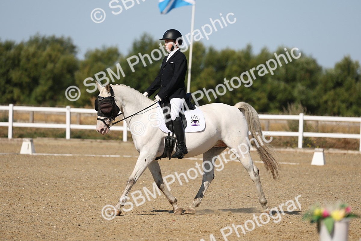 SBM_012816 - Class 1 - P5 Bronze 9.00.10.12