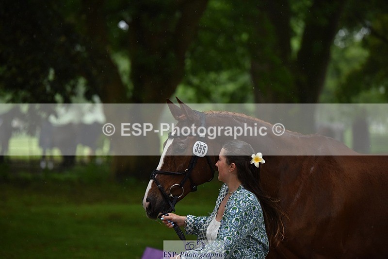 240522-153132-00403 - 355-GLOBAL_EXOTIC-Jemima_Stratton