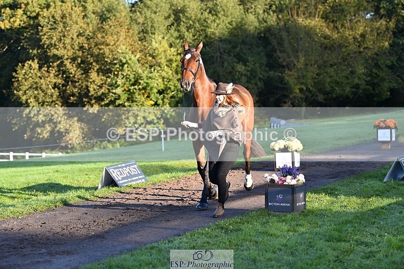 231022-090340-21533 - 627-UNNAMED.(815881)-Pollyanne.Adams-TrotUp+SJ