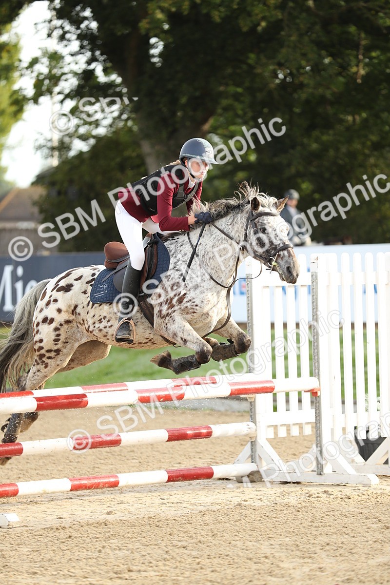 SBM_55942 - J24 - Junior Horse 75cm Championship