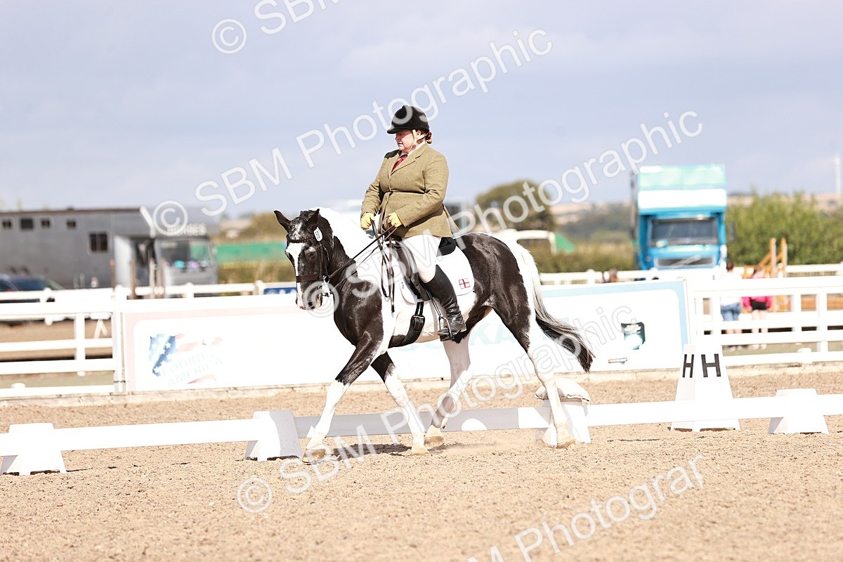 SBM_06591 - Class 39 - Medium 3