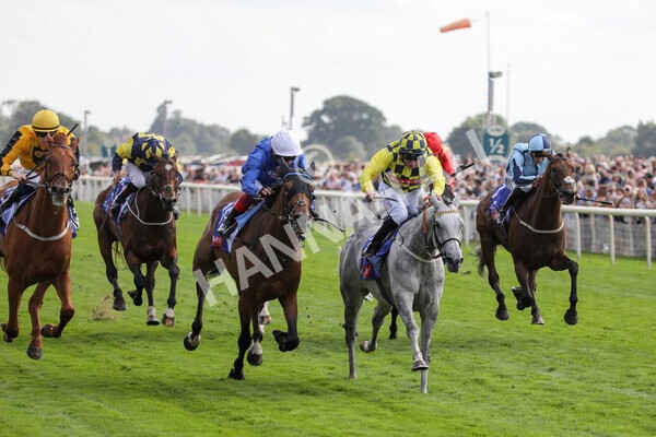 yr20082022r4-193 - Race 4 3.35pm Sky Bet Ebor