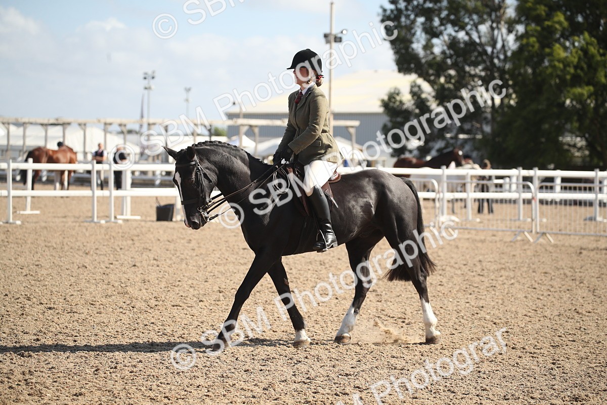 SBM_22953 - Class 603 - 2026 - Ridden Pre Vet