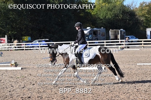BPP_8882 - LONG ARENA