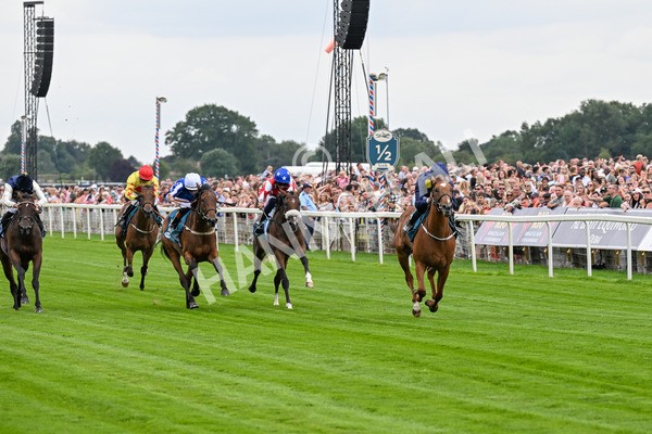 260725-Race 1-Golden Palace-0180 - Race 1 1.25pm £100K ITV7 Jackpot Today EBF Fillies' Novice Stakes