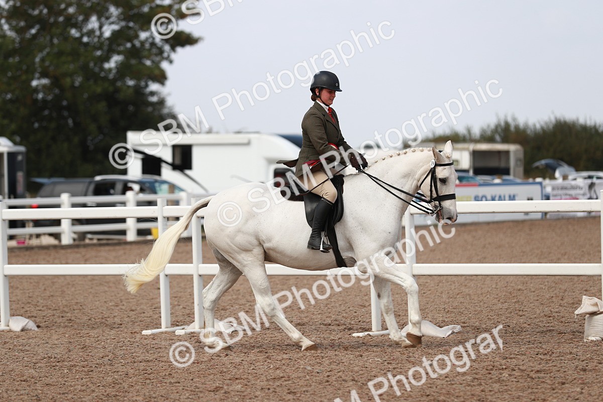 SBM_14932 - Class 212 Ridden Hunter - Small