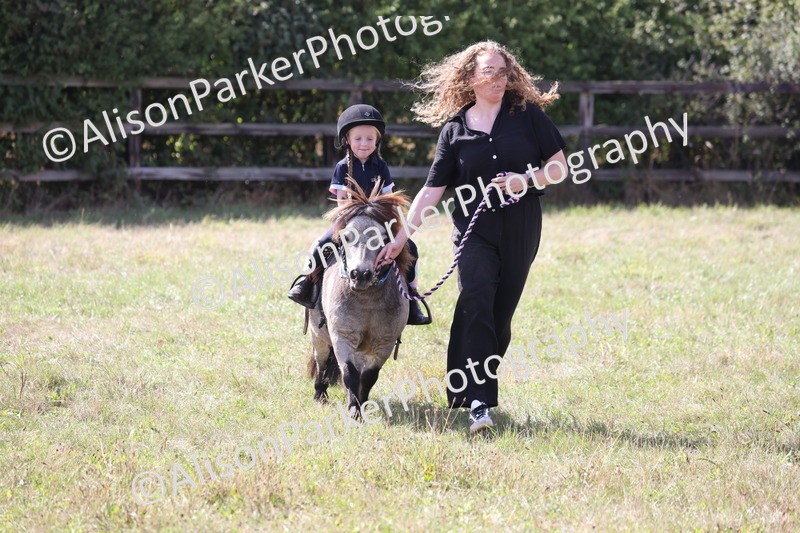 20260906-2783 - Class 25 - Absolute Beginners Pony