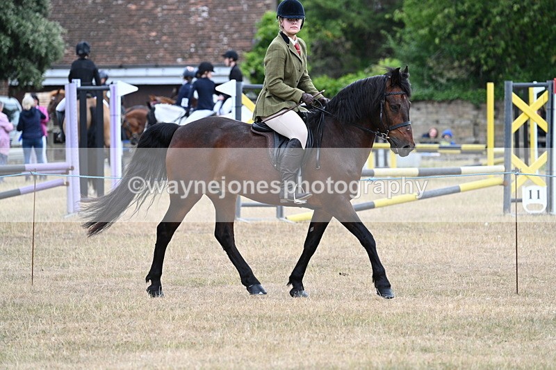 WJ7_0612 - Class 6 Ridden Mountain and Moorland