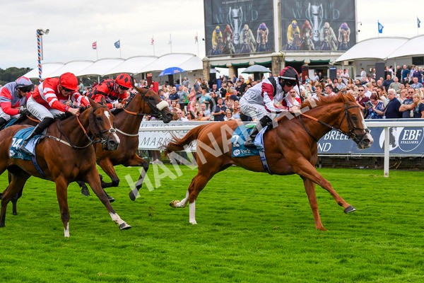 280723-Race 4-Cairn Gorm-0436 - Race 4 6.40pm Tomahawk Restaurants Handicap